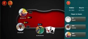 Read more about the article Poker Multiplayer Game Source Code
